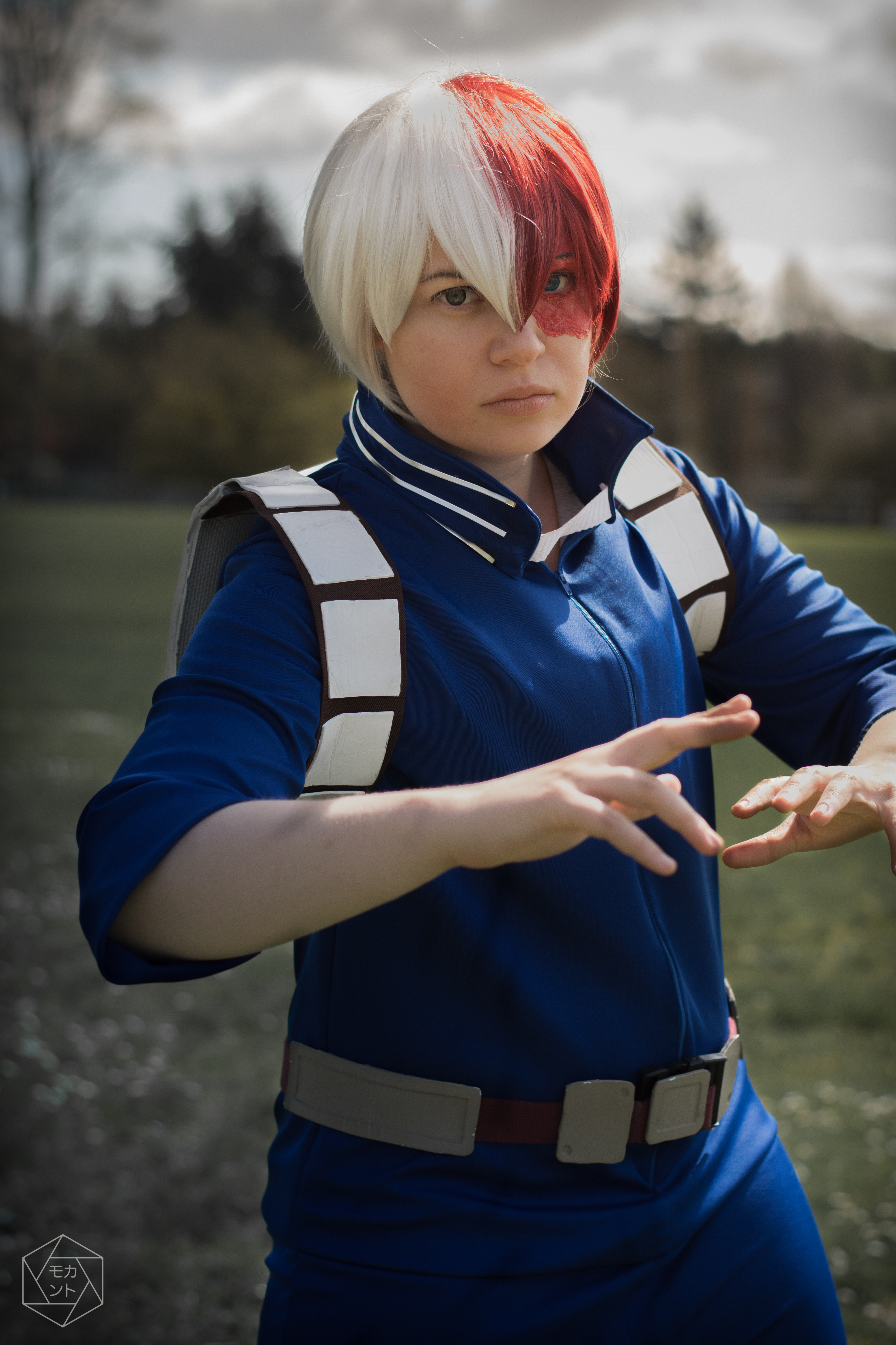 Todoroki Photo Ice Edit Before